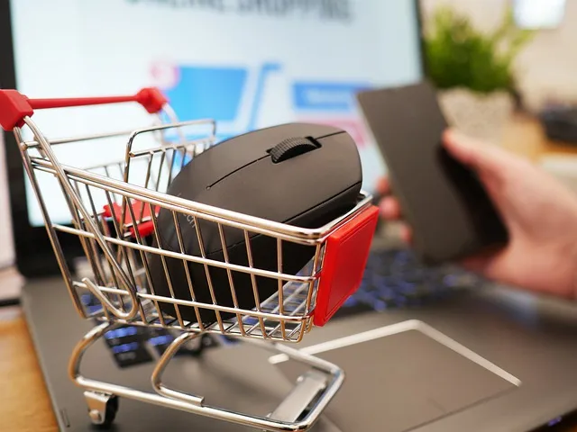 dropshipping co to